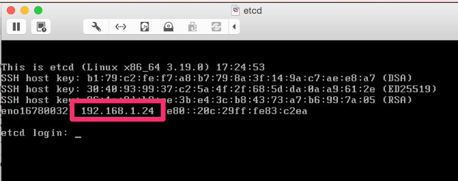 etcd VM initial window